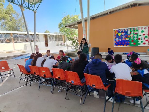 601501334 1288736166613132 8429021238506879538 n