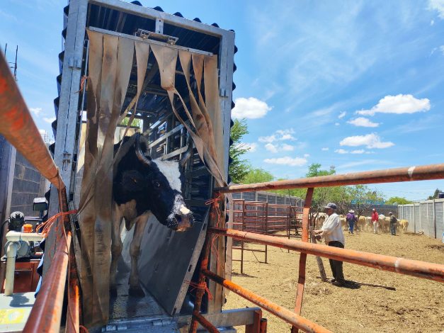 Se realizan en comunidades del municipio 670703733 1384211090398972 5236410143742219196 n