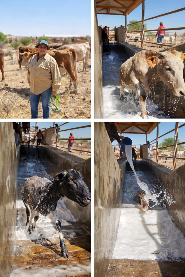 671539706 1384211097065638 5223791198869123278 n