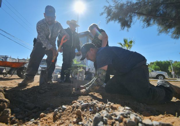 681489784 1396799305806817 1398060977258642317 n