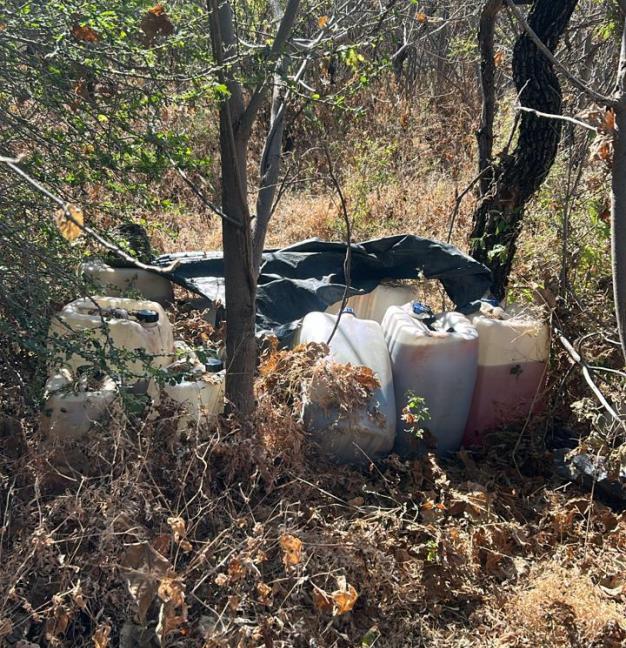 WhatsApp Image 2025 11 27 at 10.04.05 1 copy