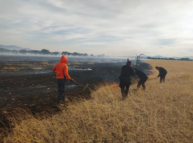 WhatsApp Image 2026 04 15 at 16.33.32