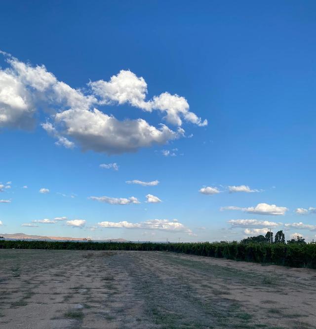 Foto de archivo WhatsApp Image 2025 04 12 at 7.30.30 PM