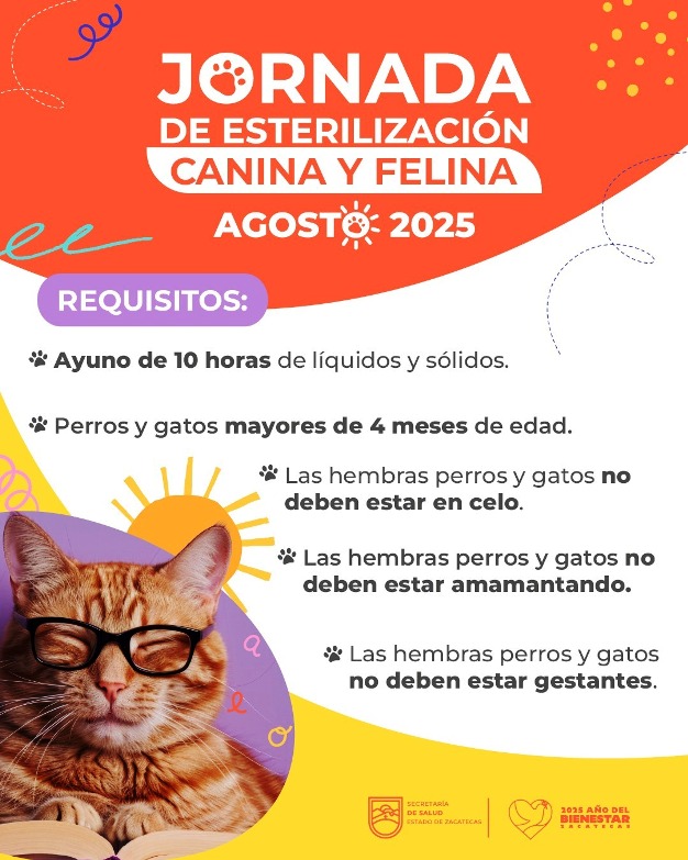 WhatsApp Image 2025 08 04 at 12.52.07 PM