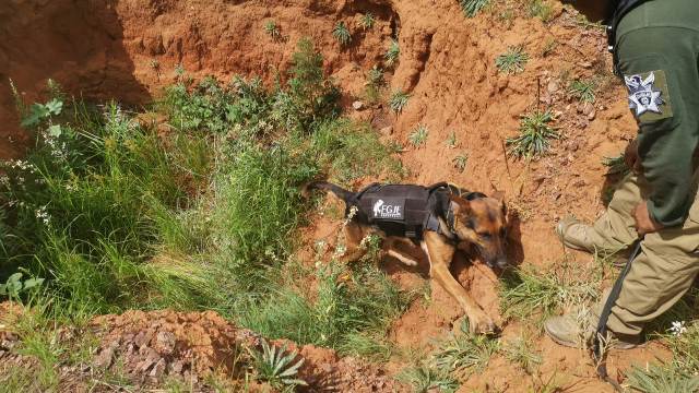 WhatsApp Image 2025 08 07 at 5.56.16 PM