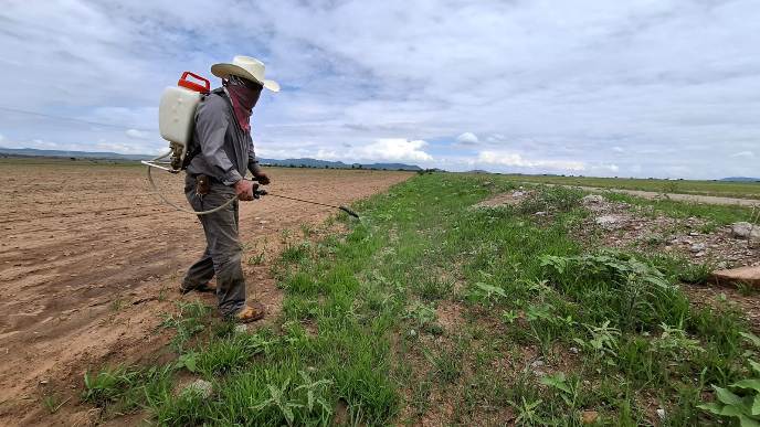 WhatsApp Image 2025 08 07 at 7.06.27 PM