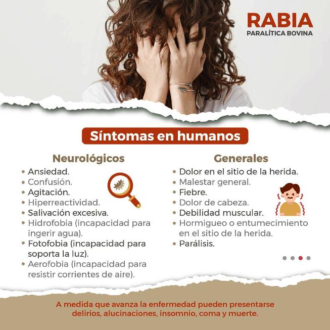 WhatsApp Image 2025 08 15 at 10.20.35 AM