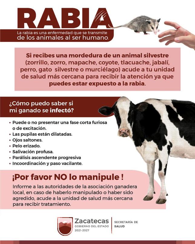 WhatsApp Image 2025 08 15 at 10.20.35 AM 1