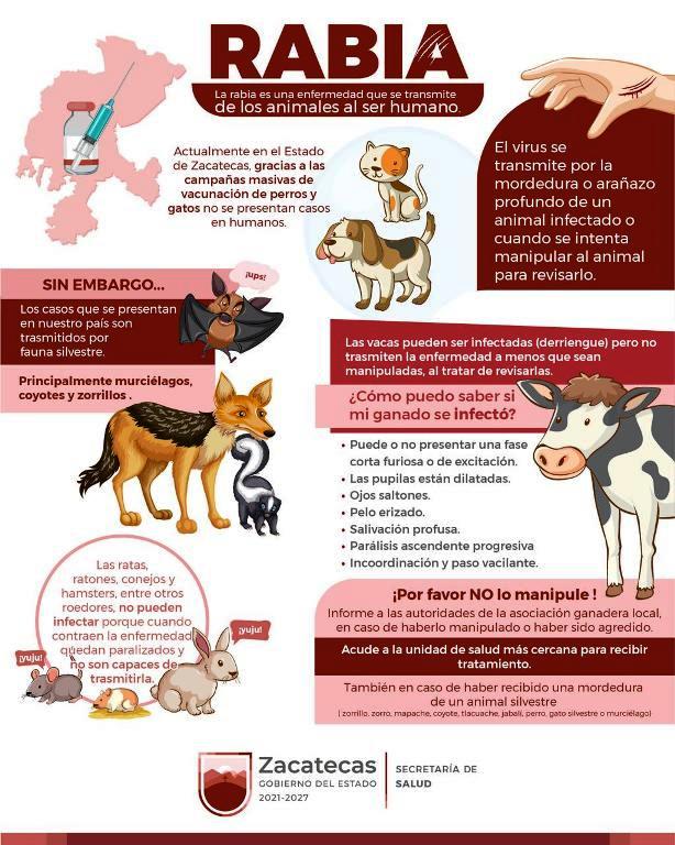 WhatsApp Image 2025 08 15 at 10.20.35 AM 2