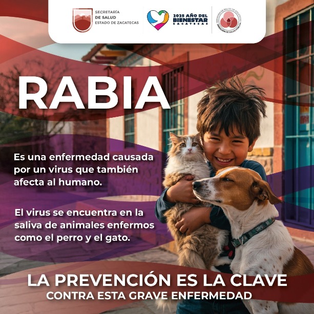 WhatsApp Image 2025 08 20 at 2.30.43 PM