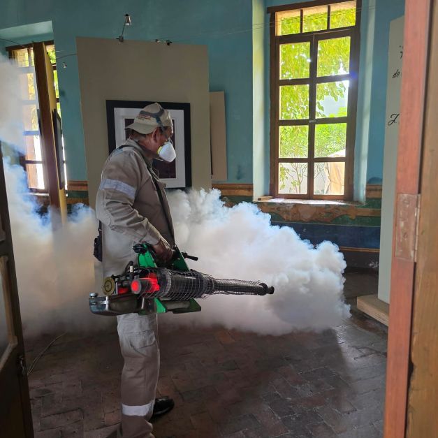 WhatsApp Image 2025 08 26 at 12.39.27 PM