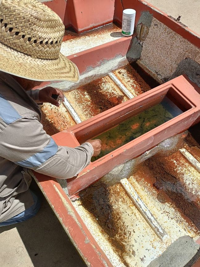 WhatsApp Image 2025 08 26 at 12.39.35 PM