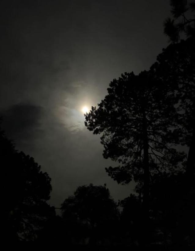 WhatsApp Image 2025 09 06 at 9.03.15 PM