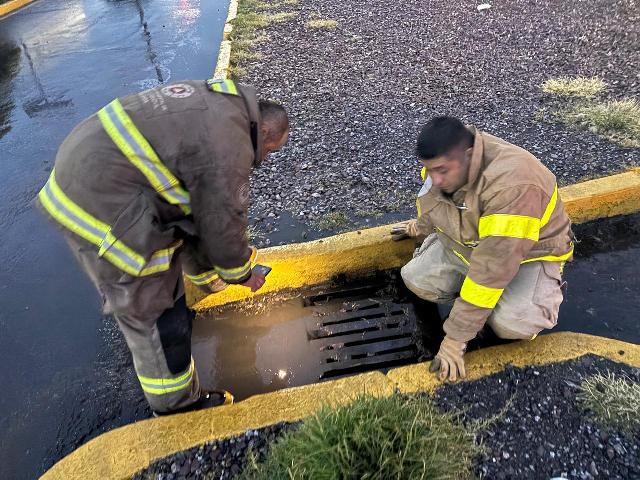 WhatsApp Image 2025 09 11 at 3.31.16 PM