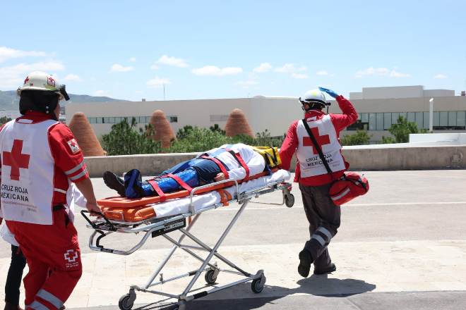 WhatsApp Image 2025 09 19 at 2.07.37 PM