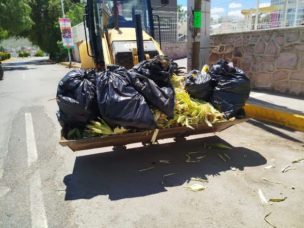 WhatsApp Image 2025 09 22 at 4.51.30 PM