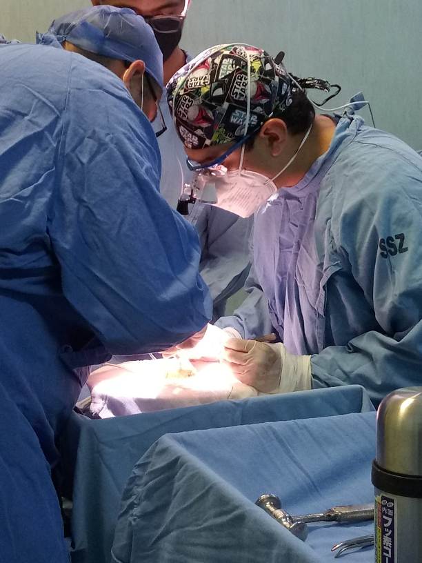 WhatsApp Image 2025 09 26 at 1.02.33 PM