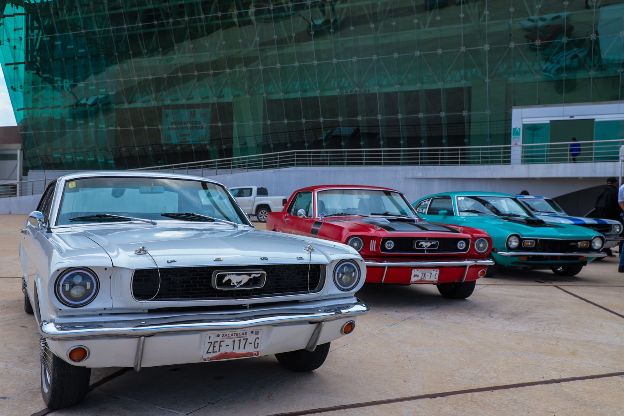 WhatsApp Image 2025 09 30 at 4.10.43 PM 1