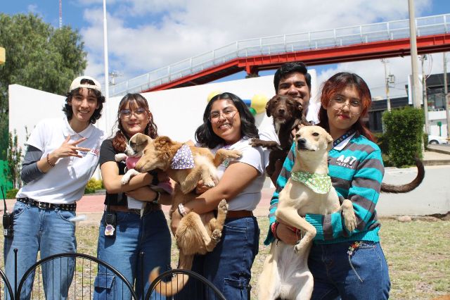 WhatsApp Image 2025 10 04 at 4.24.54 PM 1