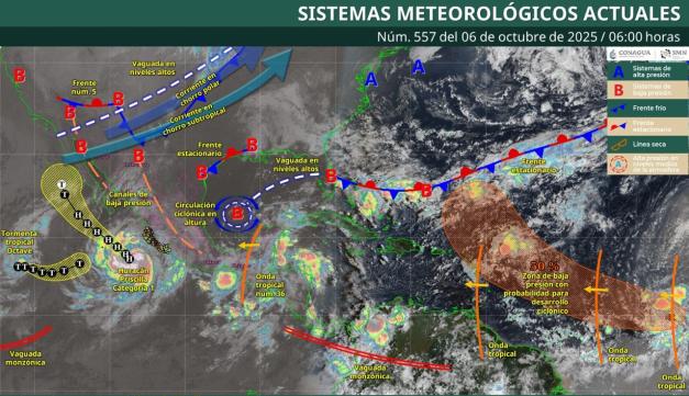 WhatsApp Image 2025 10 06 at 1.54.27 PM