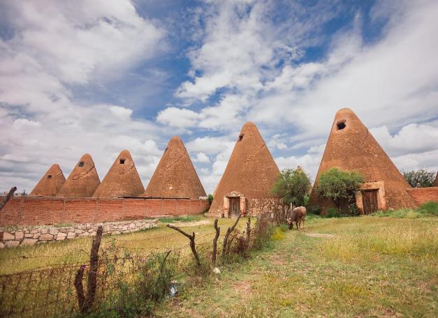 WhatsApp Image 2025 10 09 at 1.10.59 PM