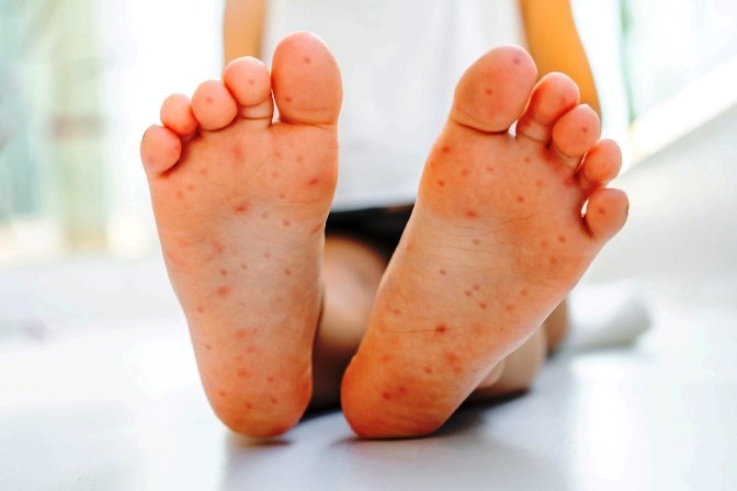 WhatsApp Image 2025 10 17 at 1.14.00 PM 1