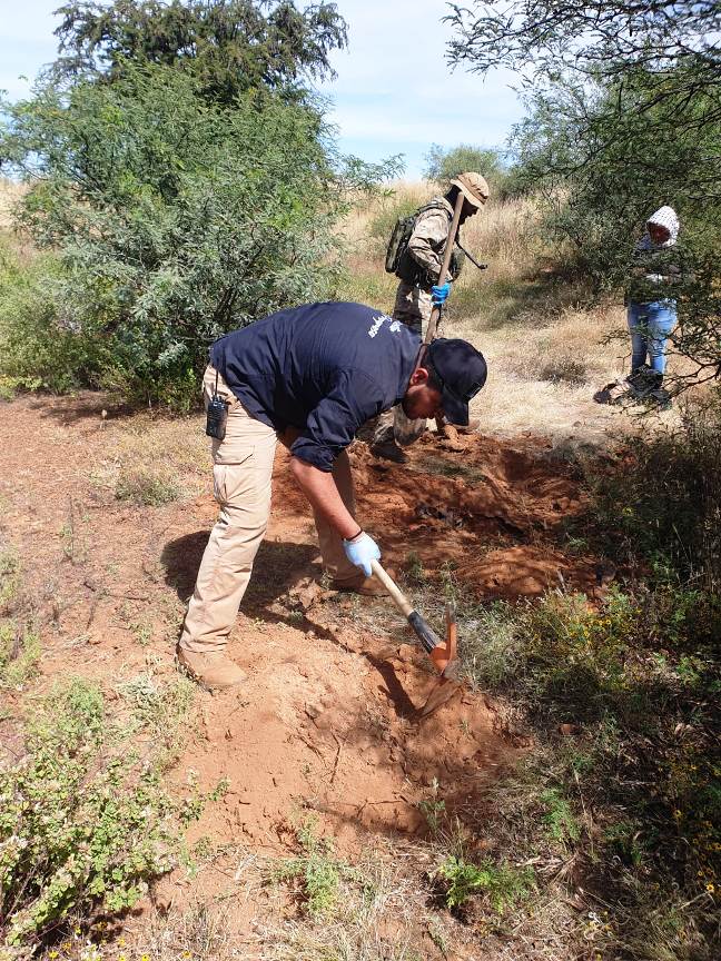 WhatsApp Image 2025 10 23 at 6.25.44 PM