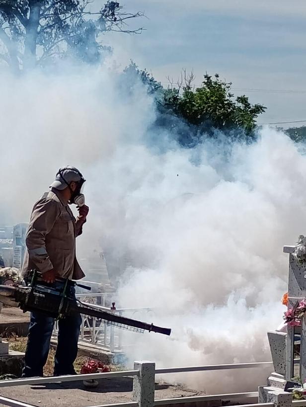 WhatsApp Image 2025 10 28 at 12.53.08 PM