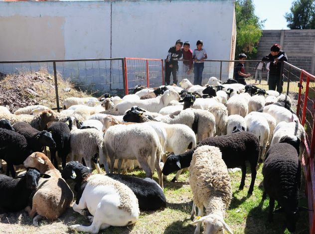 WhatsApp Image 2025 11 08 at 6.13.53 PM