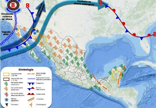 WhatsApp Image 2025 11 11 at 3.36.54 PM