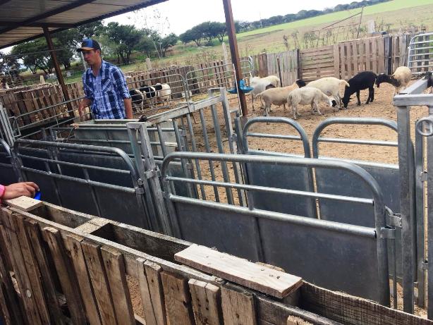 WhatsApp Image 2025 11 18 at 4.16.26 PM