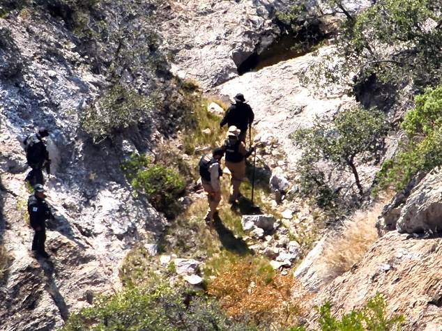 WhatsApp Image 2025 11 19 at 6.20.03 PM