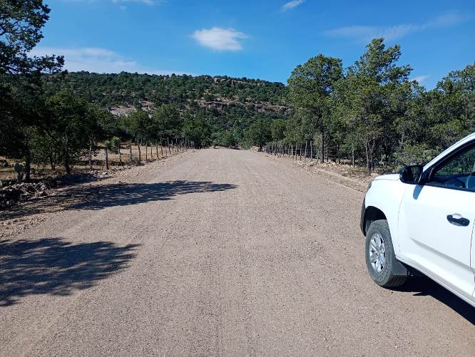 WhatsApp Image 2025 11 21 at 1.52.59 PM