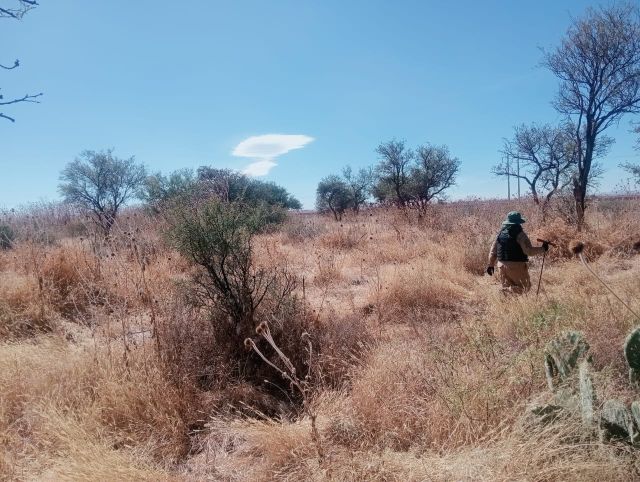 WhatsApp Image 2025 12 03 at 18.48.08