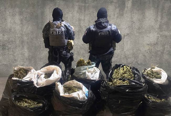 WhatsApp Image 2025 12 11 at 3.25.38 PM