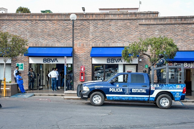 WhatsApp Image 2025 12 12 at 2.30.23 PM 1