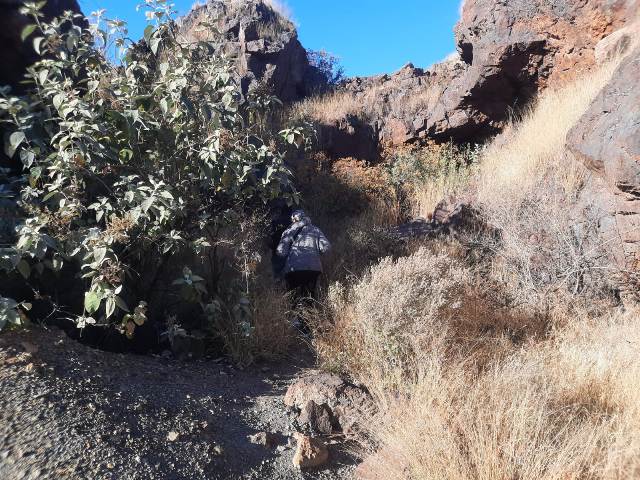 WhatsApp Image 2025 12 17 at 3.40.46 PM