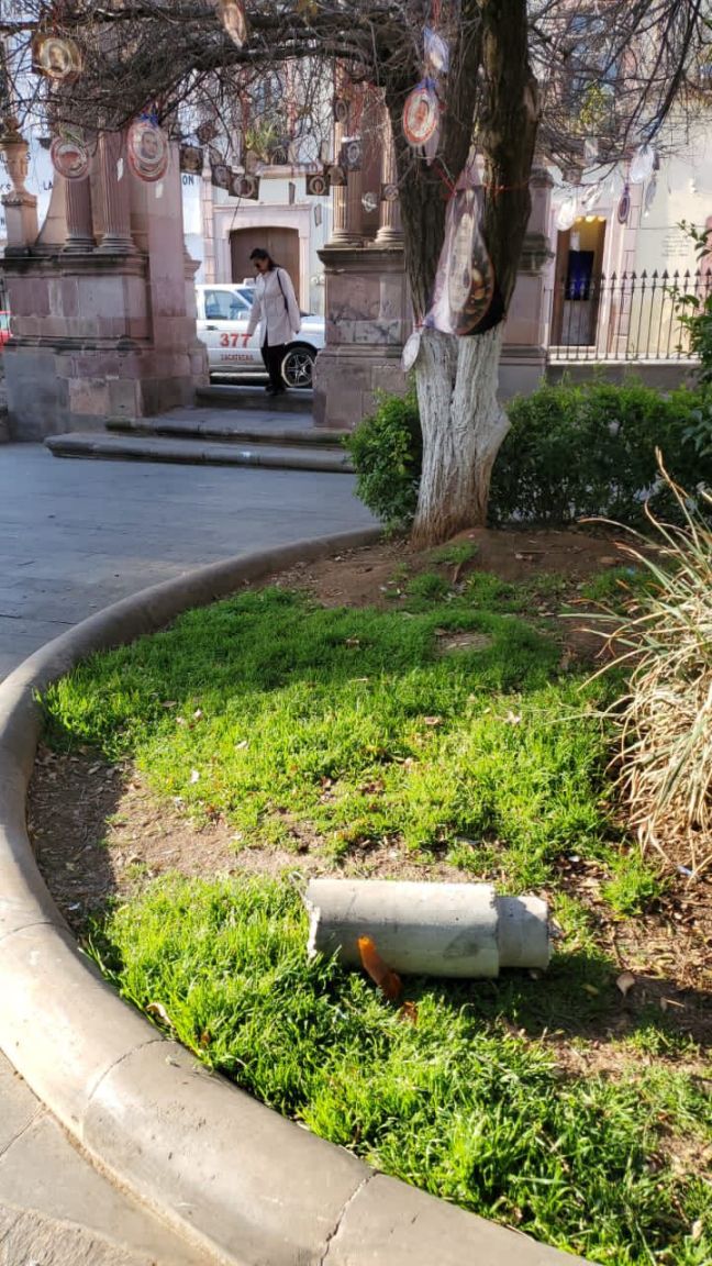 Alameda capitalina WhatsApp Image 2026 01 09 at 5.39.12 PM