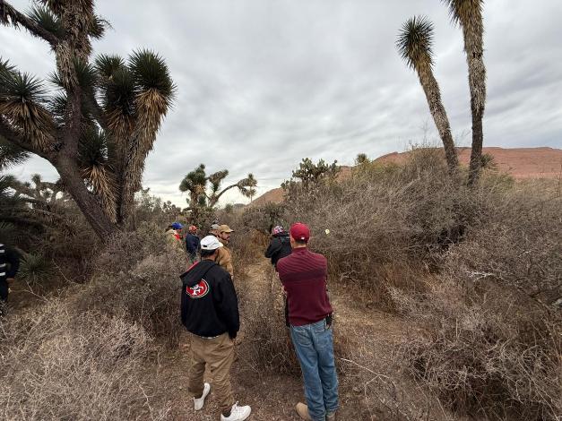 WhatsApp Image 2026 01 17 at 4.52.02 PM