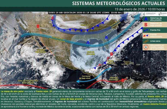 WhatsApp Image 2026 01 20 at 1.56.27 PM