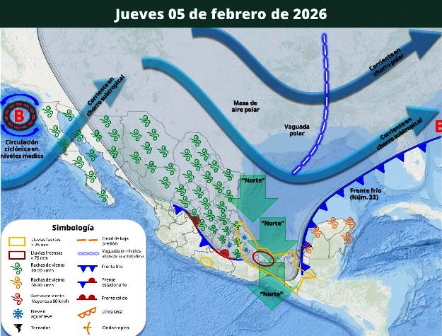 WhatsApp Image 2026 02 03 at 2.43.59 PM