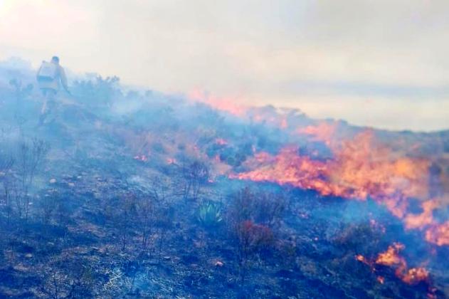 WhatsApp Image 2026 02 04 at 12.23.32 PM