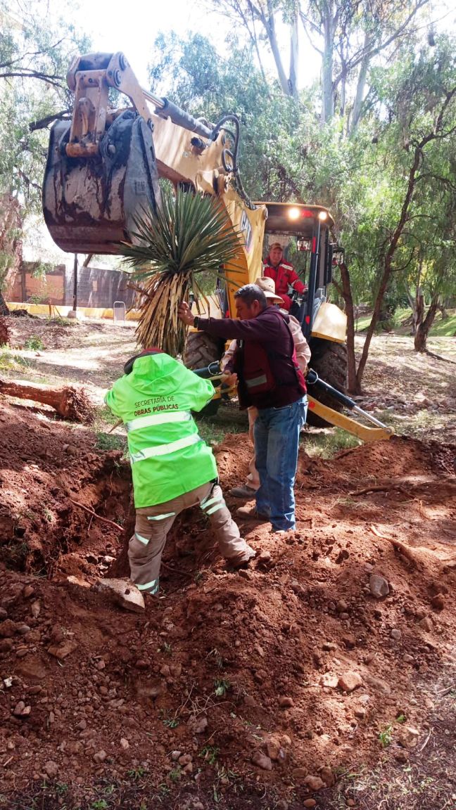 WhatsApp Image 2026 02 11 at 1.27.25 PM 1