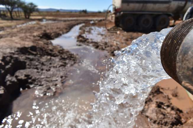 WhatsApp Image 2026 02 11 at 1.36.33 PM 1