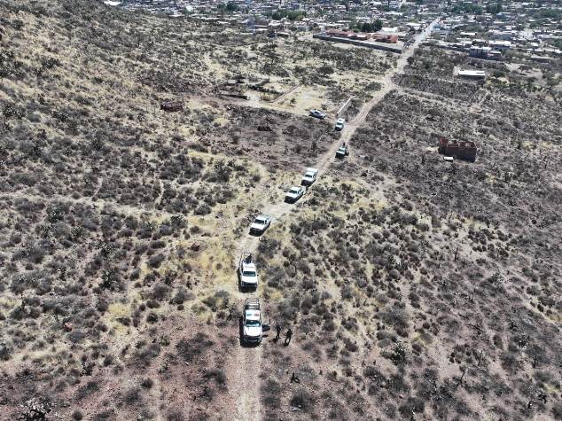 WhatsApp Image 2026 02 11 at 3.14.05 PM