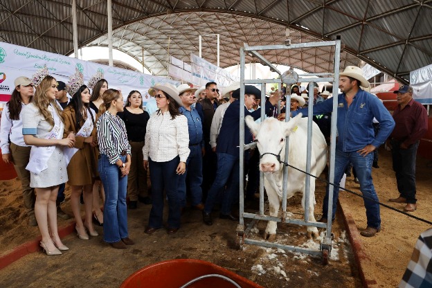 WhatsApp Image 2026 02 12 at 3.35.46 PM