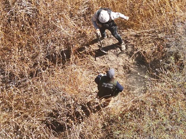 WhatsApp Image 2026 02 12 at 4.58.58 PM