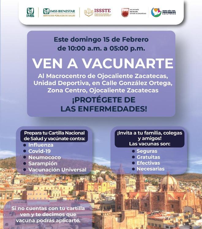 WhatsApp Image 2026 02 13 at 1.38.39 PM 1