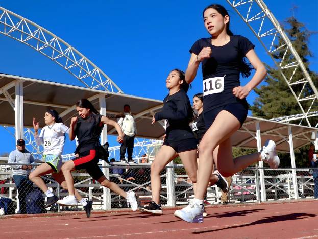 WhatsApp Image 2026 02 13 at 2.59.29 PM