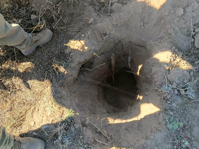 WhatsApp Image 2026 02 27 at 2.03.22 PM